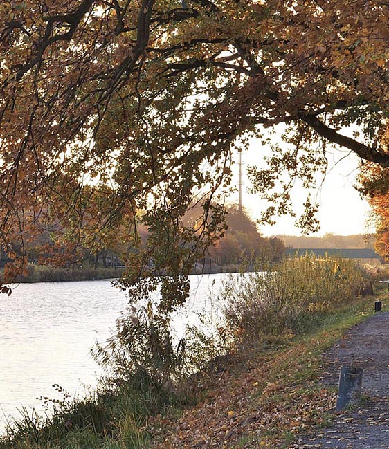 wandelcoaching-heemstede-01